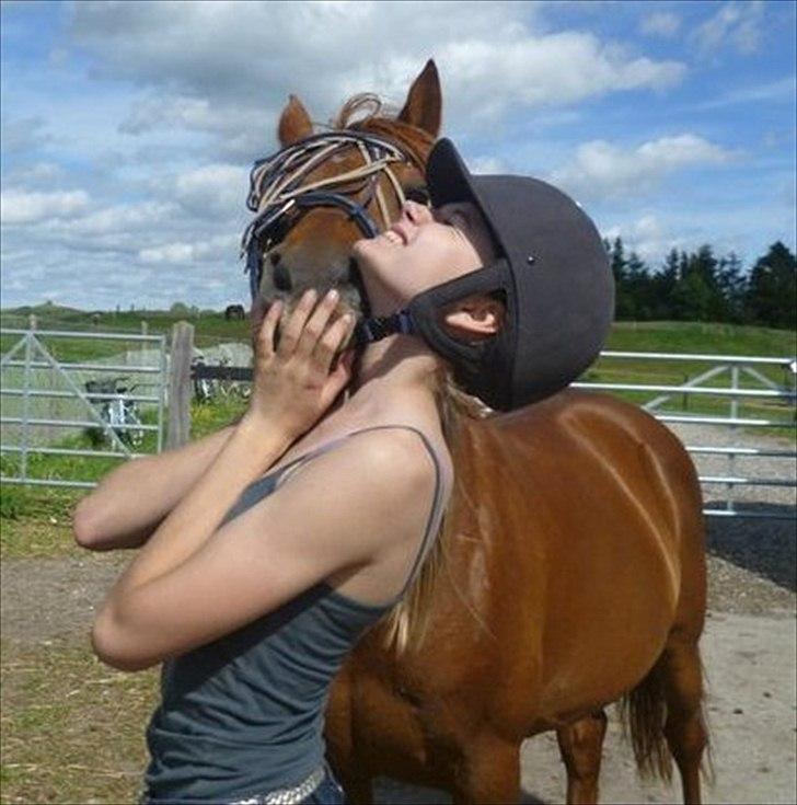 Anden særlig race Pasadena "tyksakken"<3. - Årrrrhj, hvor jeg dog bare elsker dig pony<3. 
- Du har ændret dig utrolig meget, og det samme har jeg. D betyder virkelig meget. billede 12