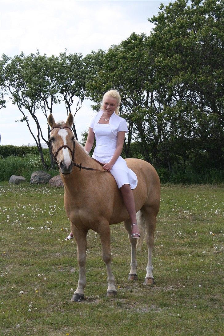 Anden særlig race Yellow Prince - Konfirmation 2011 billede 4