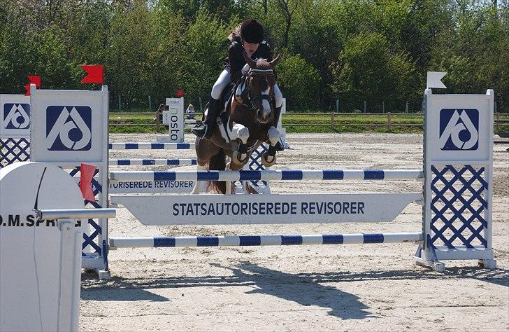 Pinto Celina A-pony  - B- stævne Middelfart 2011. MA1* billede 7