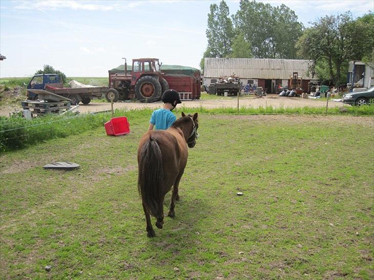 {{currentPhoto.altText}} billede {{currentPhoto.number}}