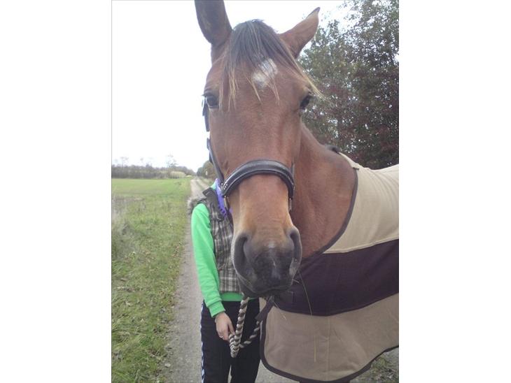 {{currentPhoto.altText}} billede {{currentPhoto.number}}