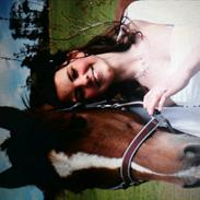 Anden særlig race Sylvester