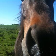 Traver Gucci <3 [SOLGT:'(]