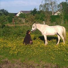 DSP Mascot-My soulmate<3