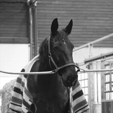 Oldenborg Lukas