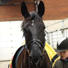 Oldenborg Lukas