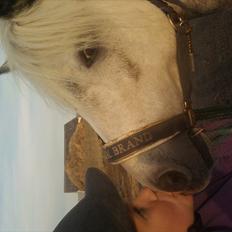 Anden særlig race felix<3<3  gml. pony:(