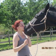 Oldenborg Horsebjerg Debutante <3 † 