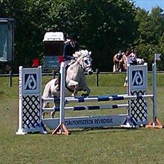 Connemara Sdr. Vestermark Carreen 