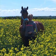 Appaloosa Andree DRØMMEPONYEN!<3 SOLGT