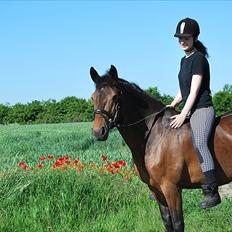 Anden særlig race Nørregårdens Eros <3 *SOLGT*   