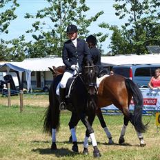 Oldenborg Flying Betty ROL 9674