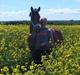 Appaloosa Andree DRØMMEPONYEN!<3 SOLGT