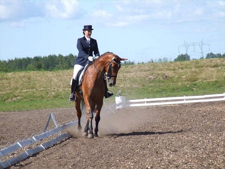 Oldenborg Boccaccio - MB3 i  Billund d. 3/6-2011 billede 12