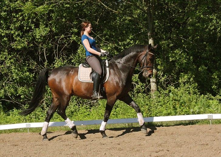 Oldenborg Don Chateaú billede 5