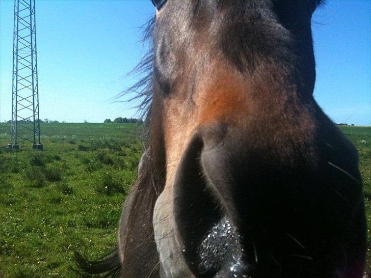 Traver Gucci <3 [SOLGT:'(] - 2011 billede 2