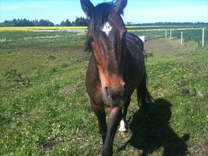 Traver Gucci <3 [SOLGT:'(] - 2011 billede 3