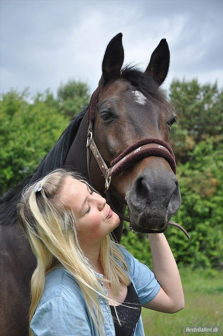 Anden særlig race 'Tidligere hest' Beauty Queen - Du for smilet frem på mine læber <3<3 billede 4