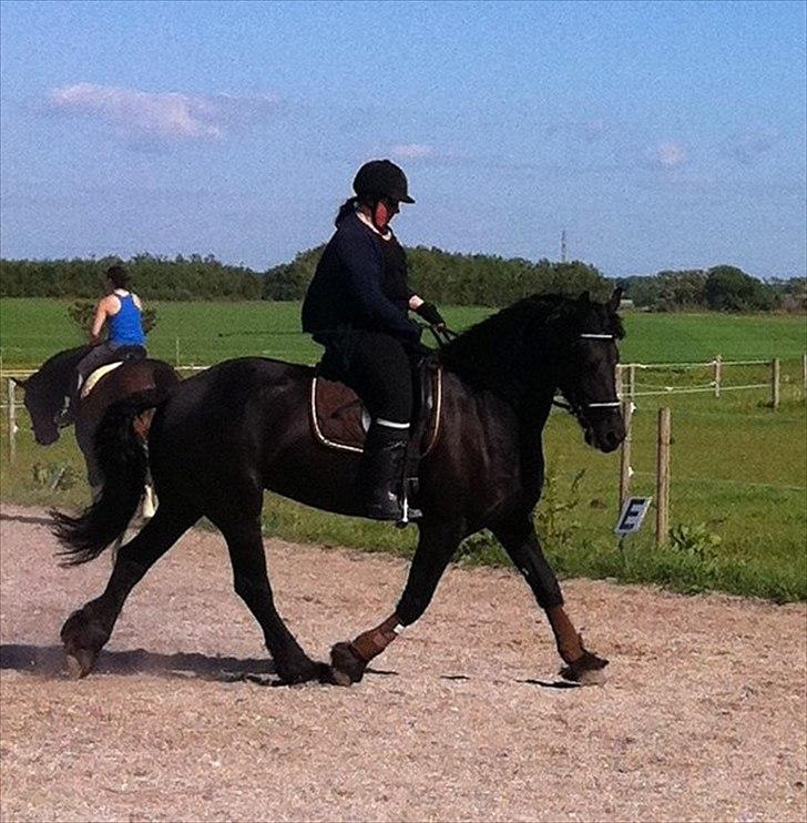 Frieser WHISPER GIRL <3 * solgt og savnet * billede 15