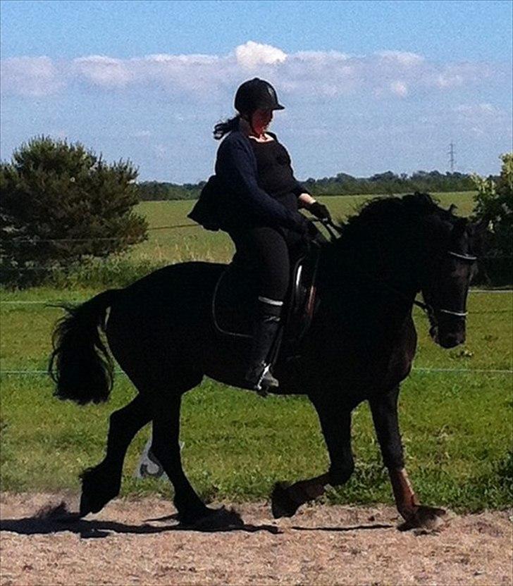 Frieser WHISPER GIRL <3 * solgt og savnet * billede 16