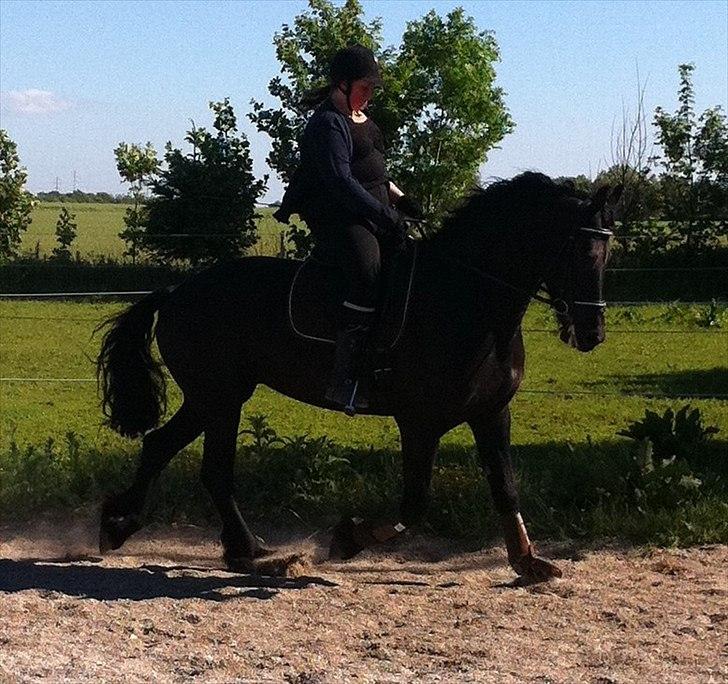 Frieser WHISPER GIRL <3 * solgt og savnet * billede 17