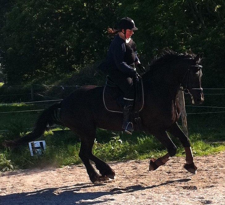 Frieser WHISPER GIRL <3 * solgt og savnet * billede 18