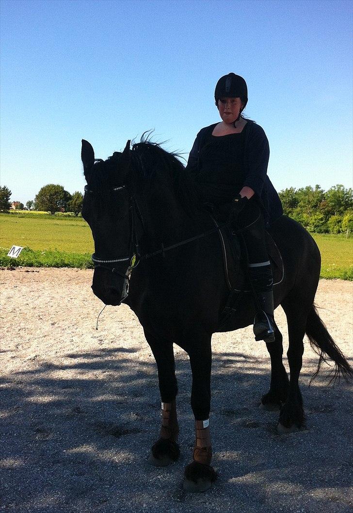 Frieser WHISPER GIRL <3 * solgt og savnet * billede 19