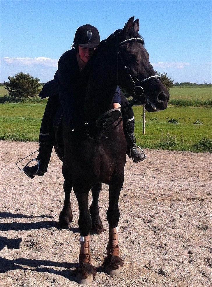 Frieser WHISPER GIRL <3 * solgt og savnet * billede 20