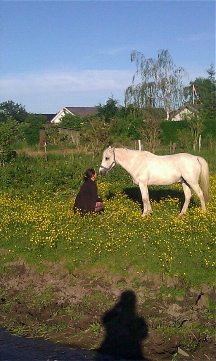 DSP Mascot-My soulmate<3 - Darling i can only hope that you always will stand by me<3
 billede 2