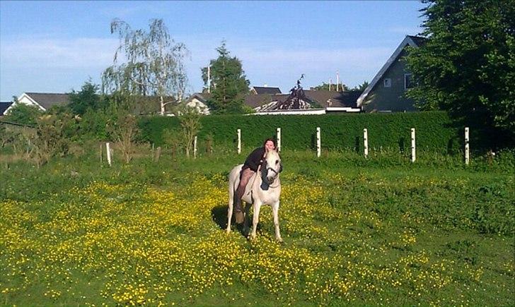 DSP Mascot-My soulmate<3 - limse og jeg sommeren 2011 billede 9