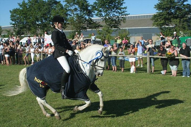 Anden særlig race Julius, **A-PONY** - Æresrunde ved SJM 2011 billede 10