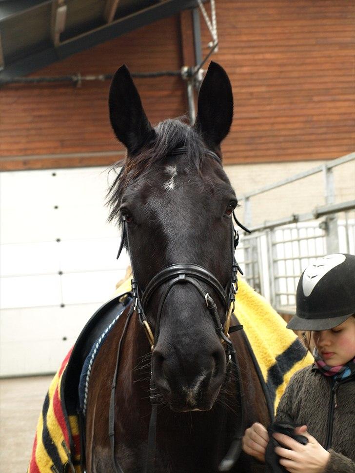 Oldenborg Lukas billede 3