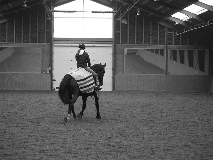 Oldenborg Lukas billede 4