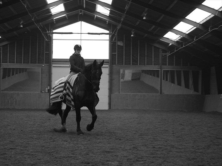 Oldenborg Lukas billede 5