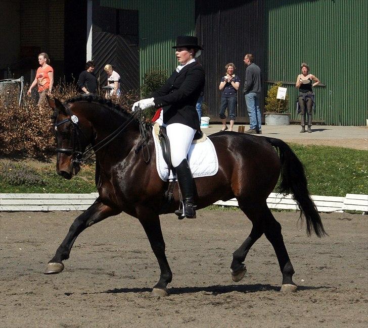 Oldenborg De Nero Af Støvlebæk billede 16