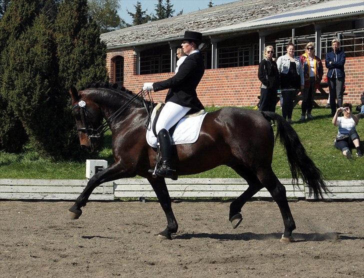 Oldenborg De Nero Af Støvlebæk billede 17