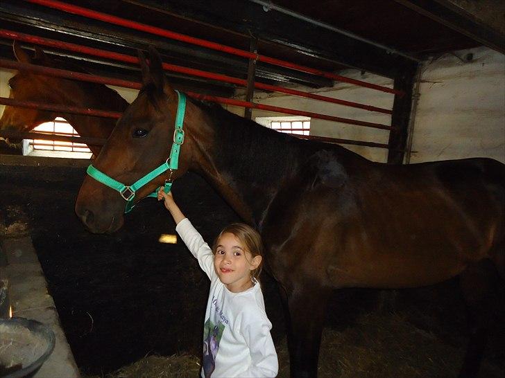 Traver Miss Williams - Maya og Miss billede 1