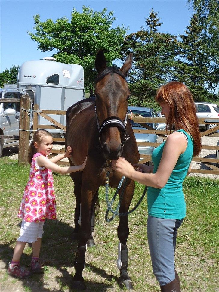 Traver Miss Williams - Maya, Linette og Miss lige efter Maya har fået at vide, at Miss nu er hendes hest. billede 2