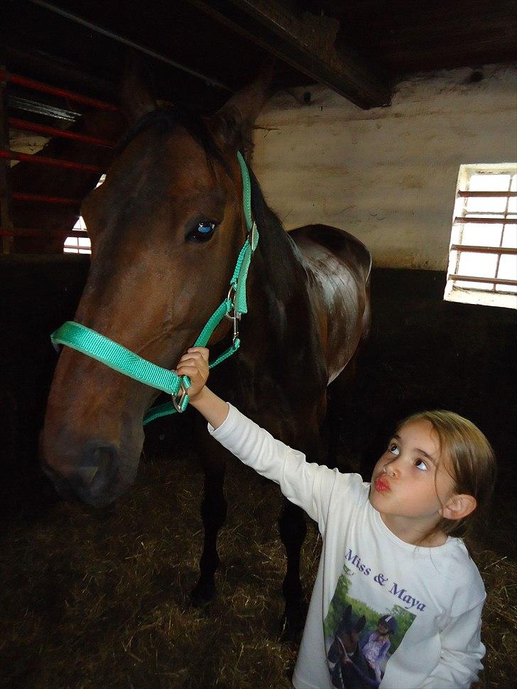 Traver Miss Williams - Nu kommer jeg og kysser dig...! billede 4