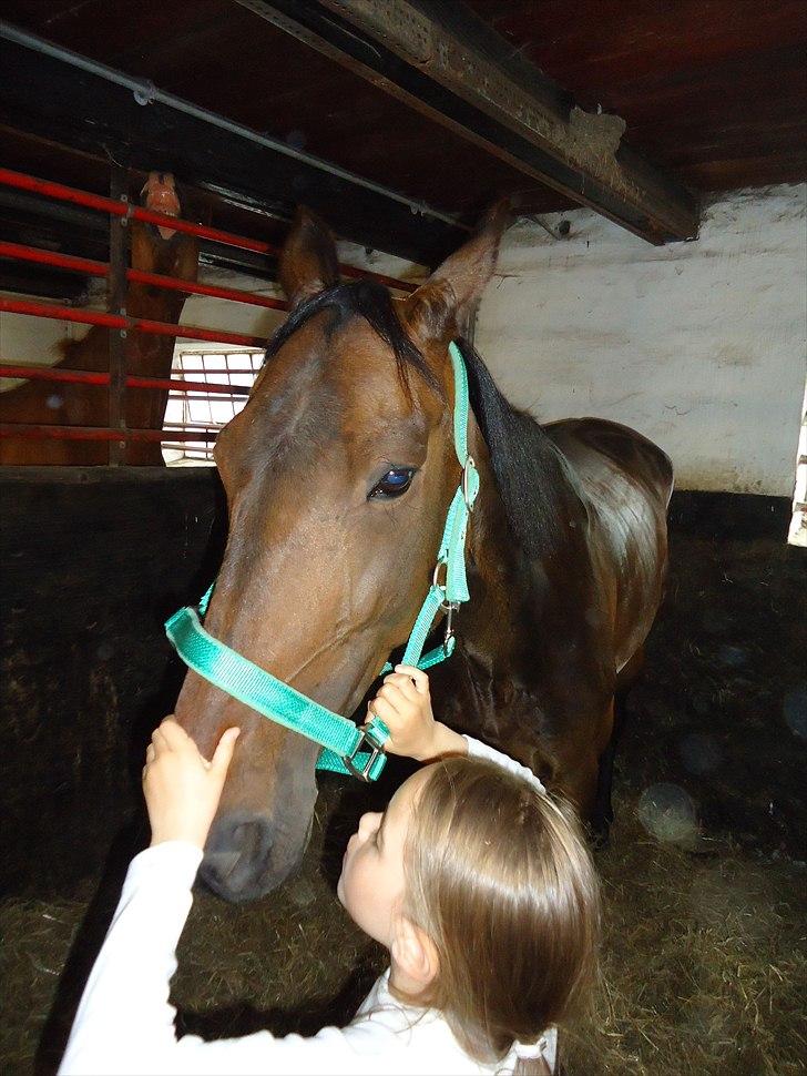 Traver Miss Williams - Møs møs billede 5