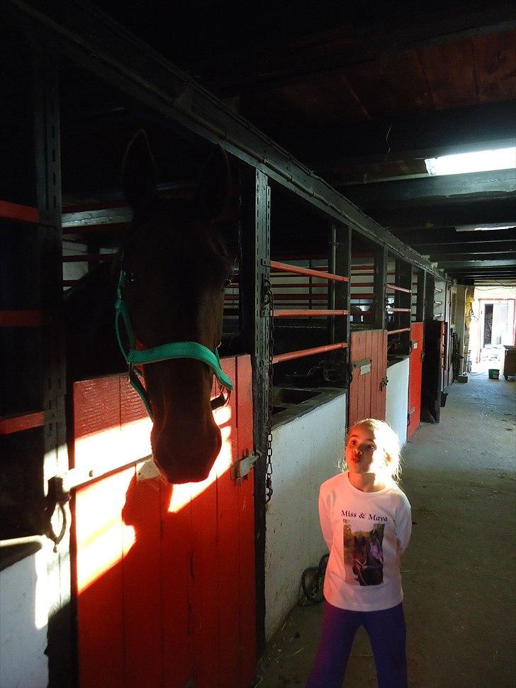 Traver Miss Williams - Maya vil kysse mere ;o) billede 6