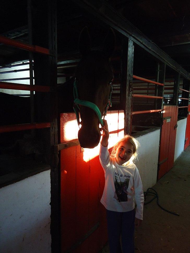 Traver Miss Williams - Miss og Maya billede 7