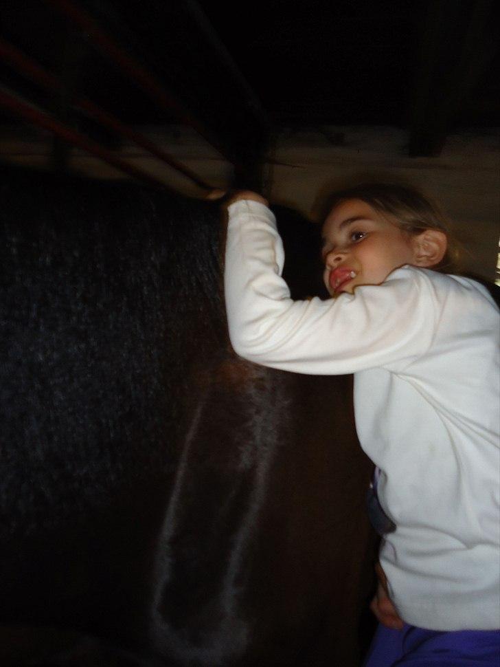 Traver Miss Williams - Maya giver Miss et kæmpe kram. billede 8