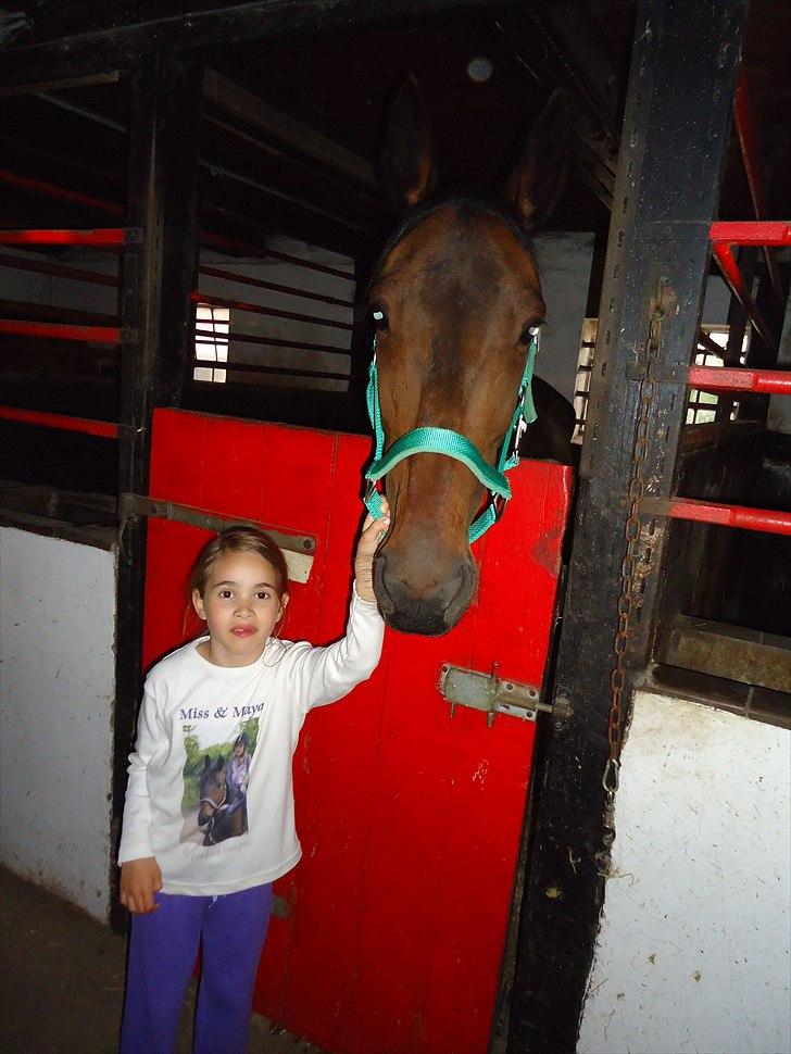 Traver Miss Williams - Miss og Maya billede 10