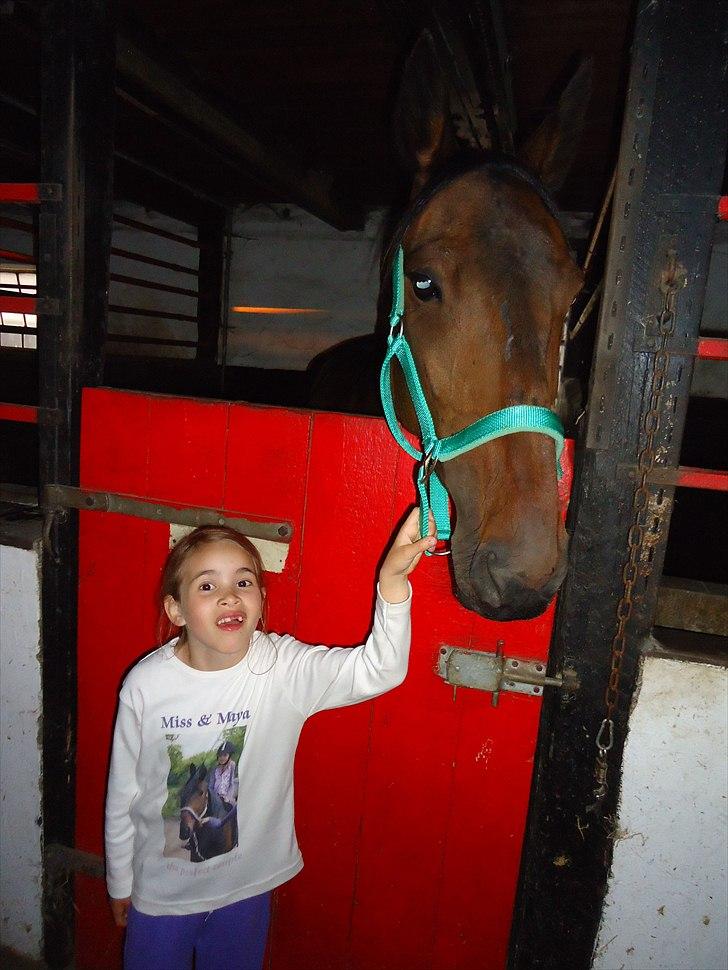 Traver Miss Williams - Miss og Maya billede 11