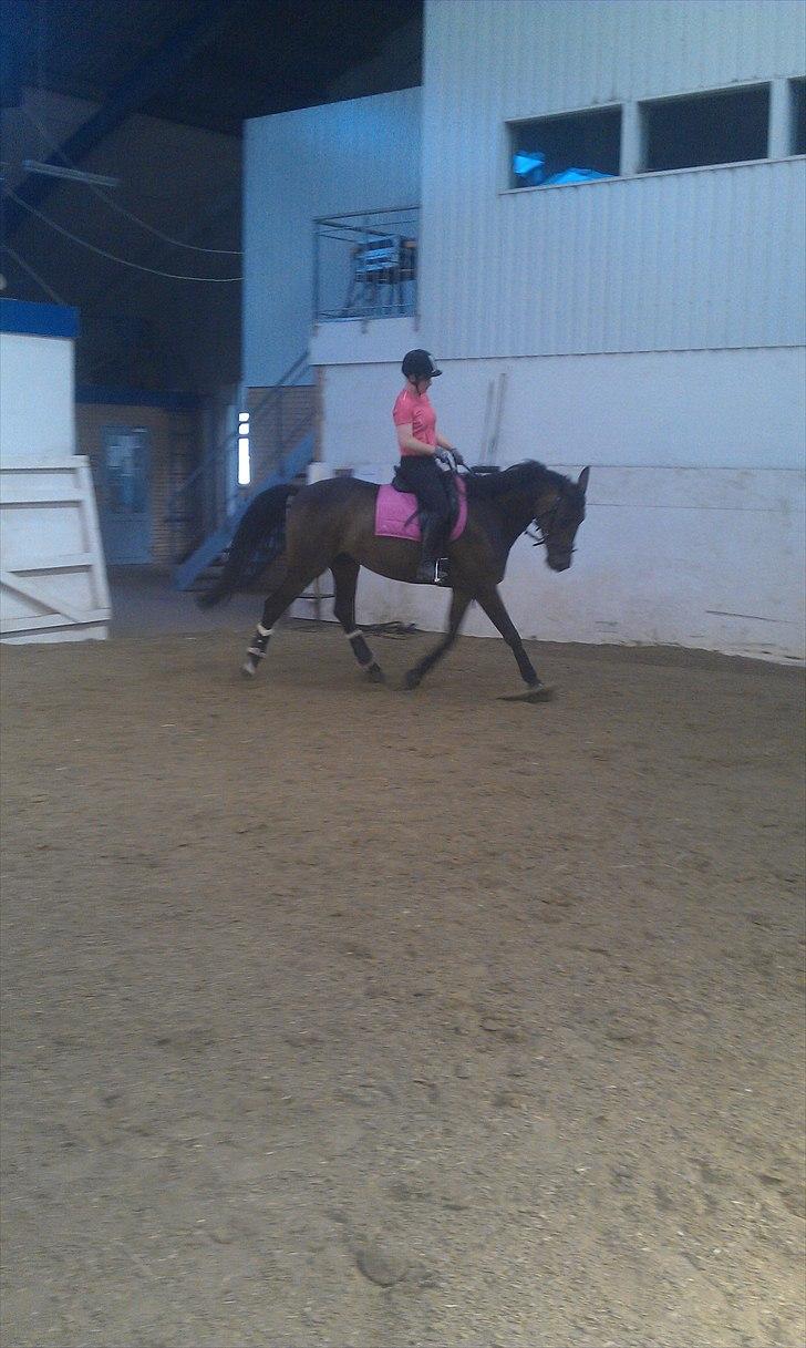 Anden særlig race Chiquita *Bananen* billede 17