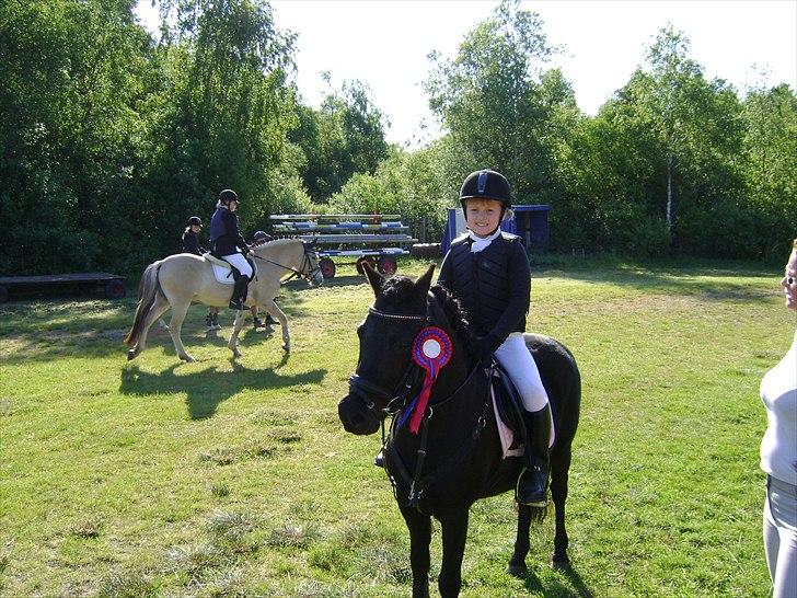 Welsh Pony (sec B) Papaya *R.I.P* - Fejlfri til første springstævne og en fin roset <3 
Min vinderpony!
 billede 2