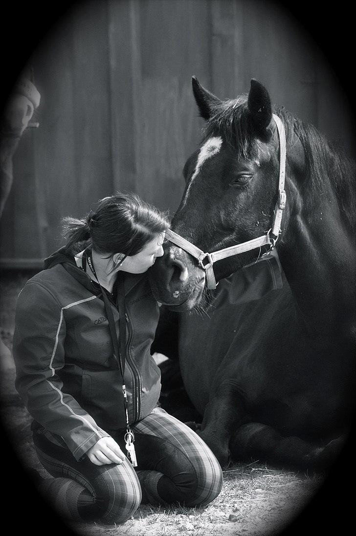 Oldenborg Schooting Star | DRØMMEHESTEN | R.I.P ):<3 - 3: You're my best friend, whom I love most on this earth, you will always be here for me and I will always be here for you Fotograf : Heidi Jensen billede 3