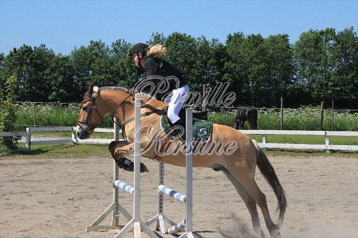 Anden særlig race HEDELYS VICTOR - Victor og mig til stævne i en LC :) Vi fik en 3. plads;) billede 16