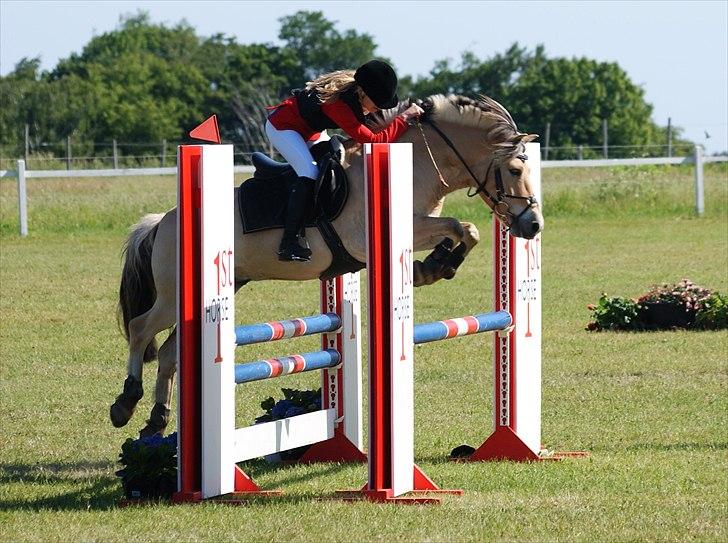 Anden særlig race Cognac - LA** Anderup Cup finale 2011!
4. plads billede 12